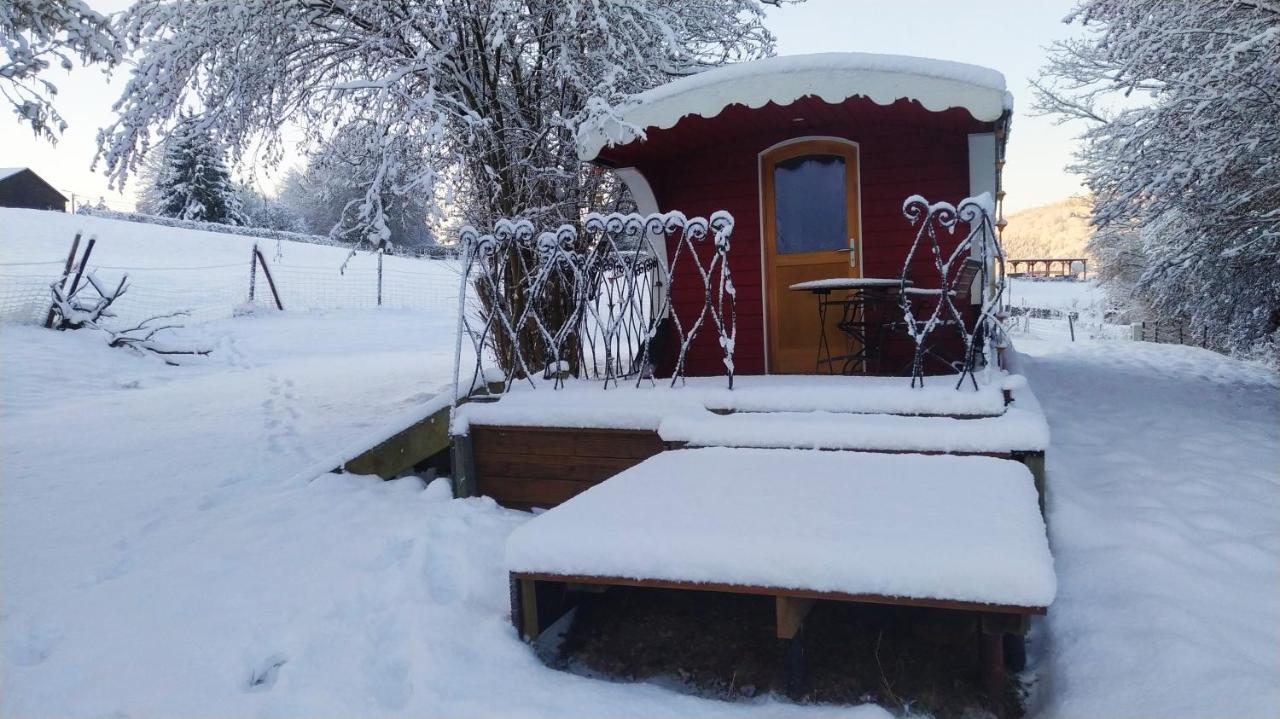 La Tiny House De La Bergerie Villa Lierneux Bagian luar foto
